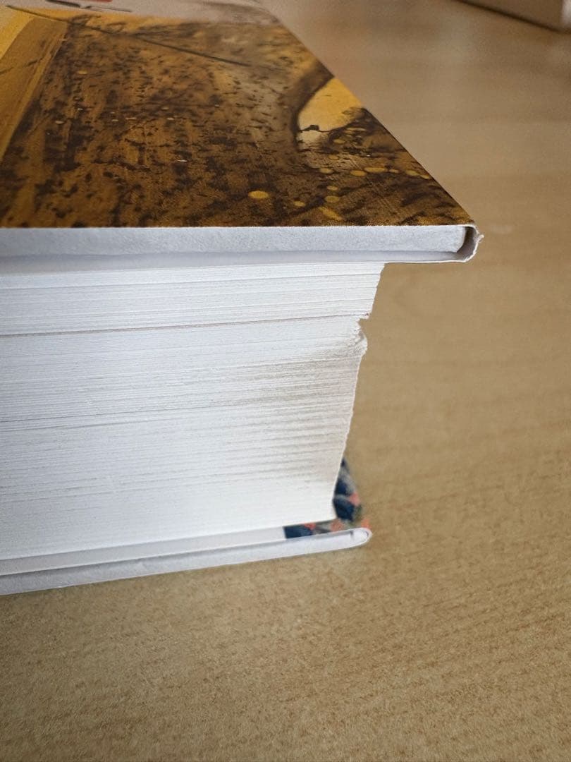 アート・デザイン・音楽 Sigmar Polke We Petty Bourgeois!