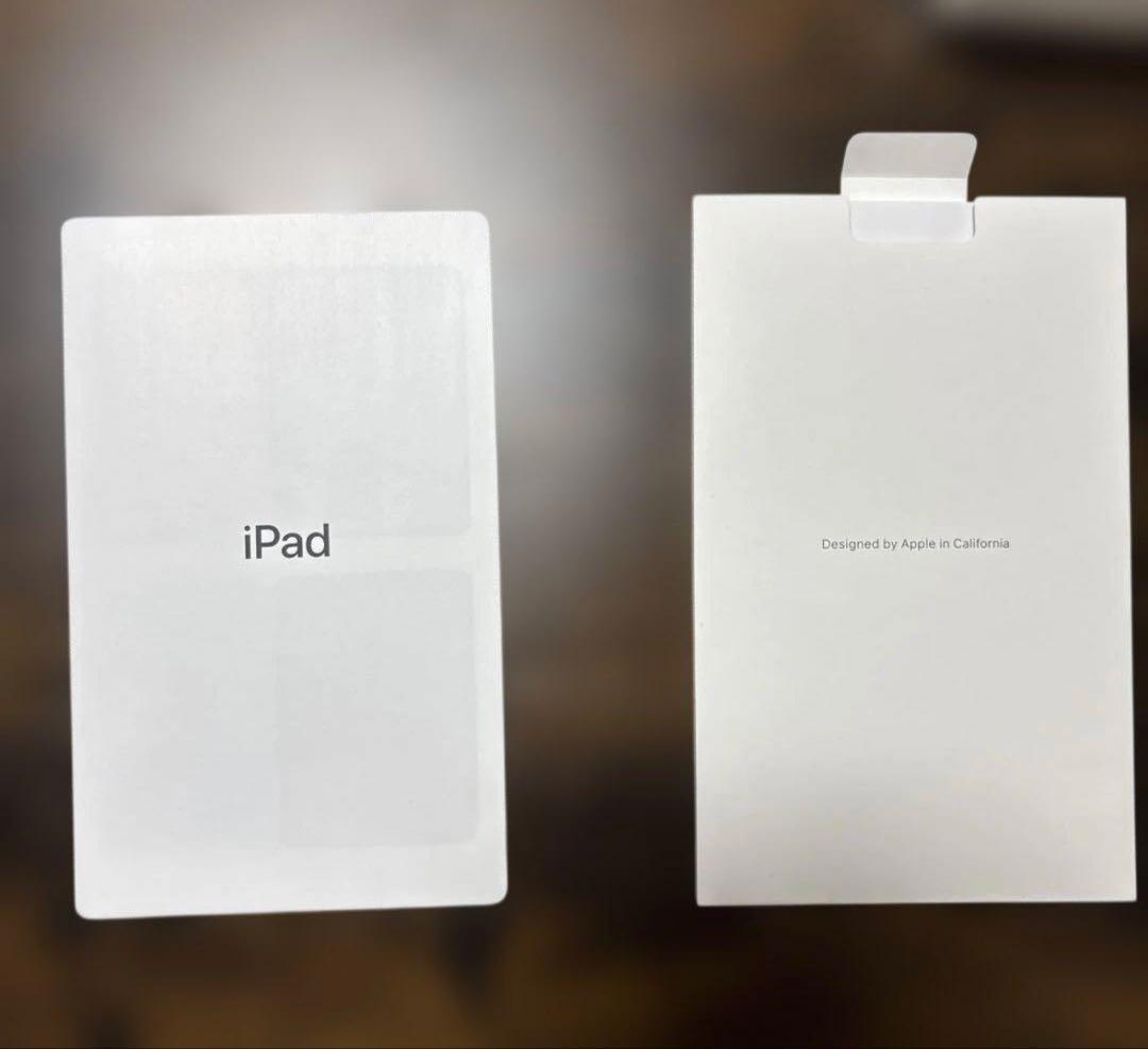 【美品】Apple iPad 本体ブルー第10 世代Wi-Fiモデル