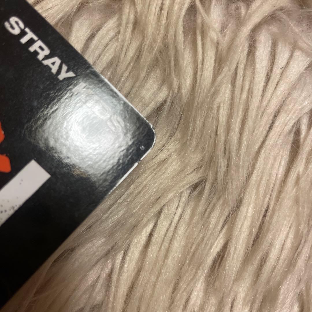 スキズ　フィリックス　店舗特典　in生　straykids