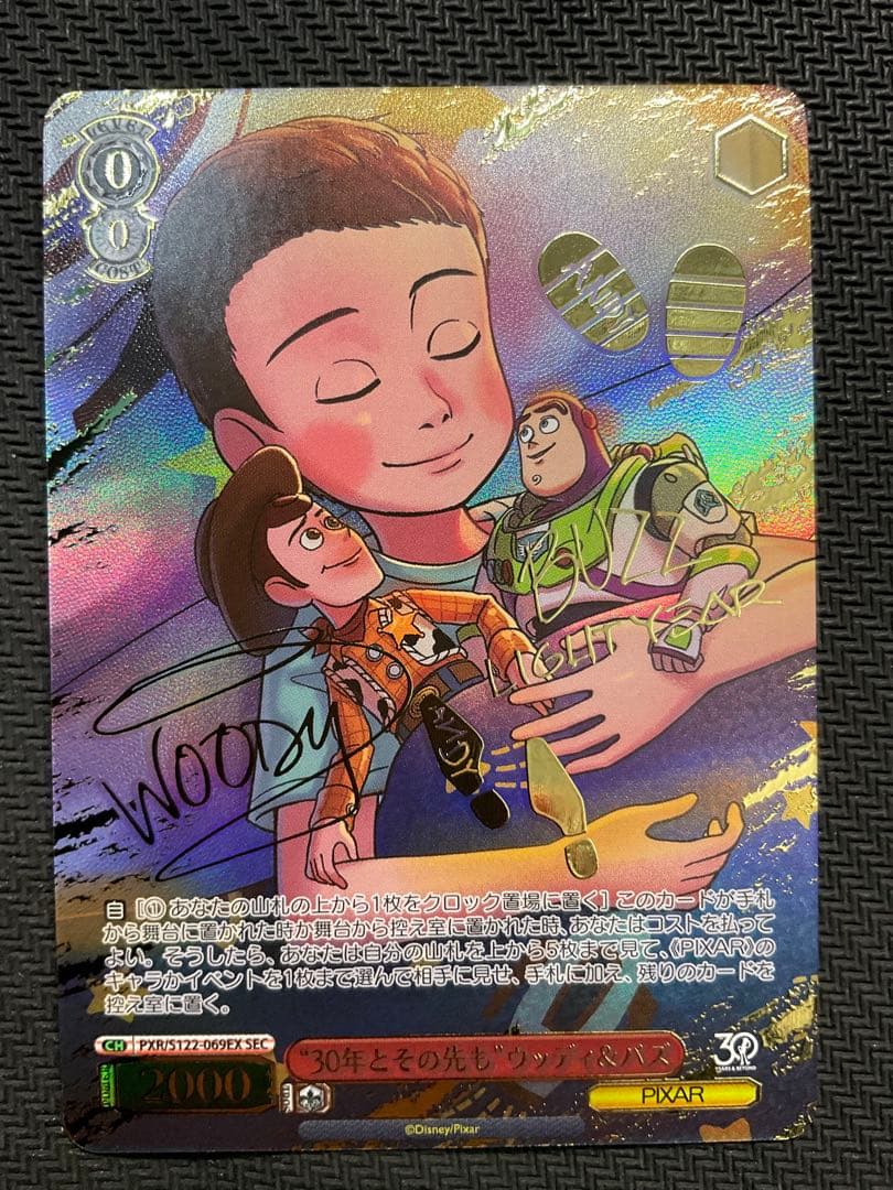 30年とその先も　ウッディ&バズ　SEC