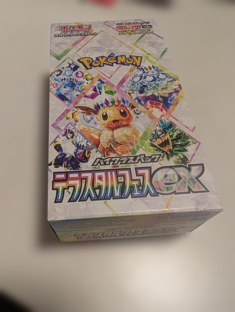 テラスタルフェス