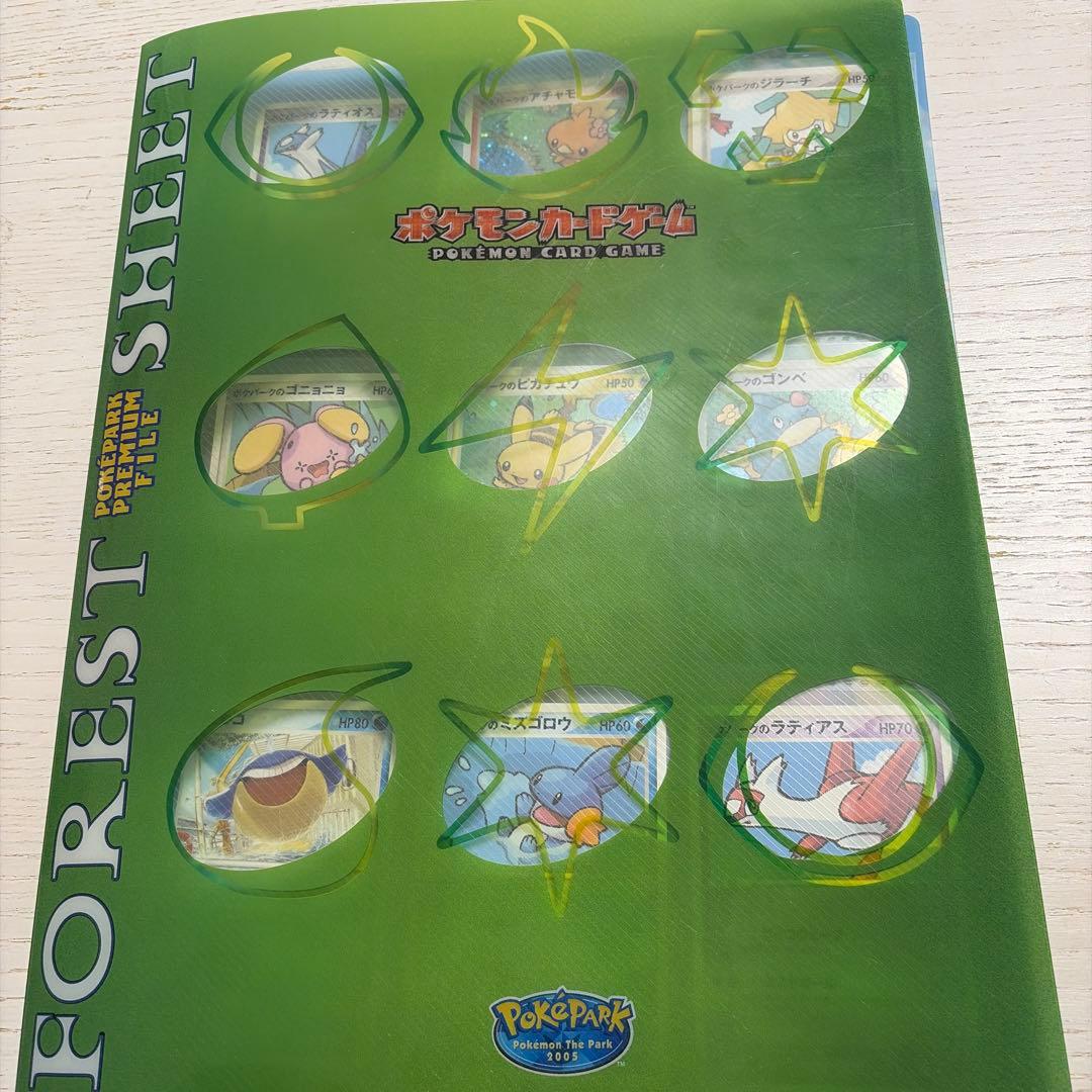 ポケパークのピカチュウ004/009やアチャモ他10枚セット