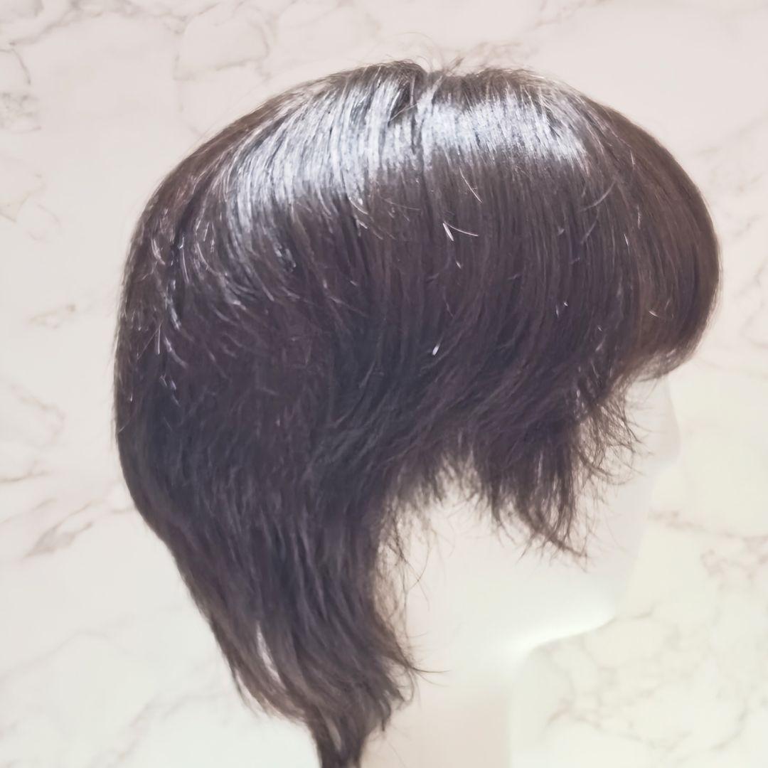 アートネイチャージュリアオージェANCS HM1-1DE5 Sサイズフルウィッグ