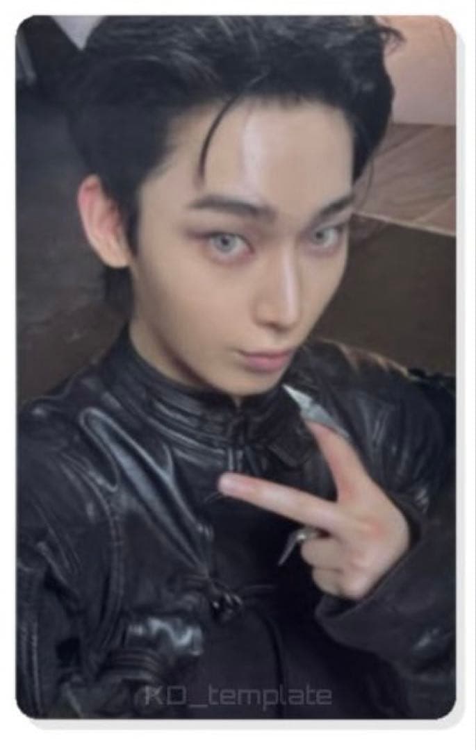 ENHYPEN THE SIN:VANISH target ソヌ