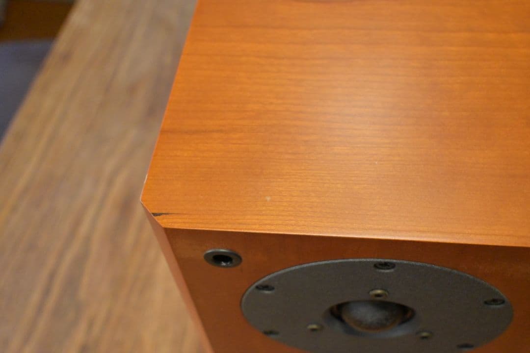 ディナウディオ　Focus 110 DYNAUDIO スピーカー　ペア　名機