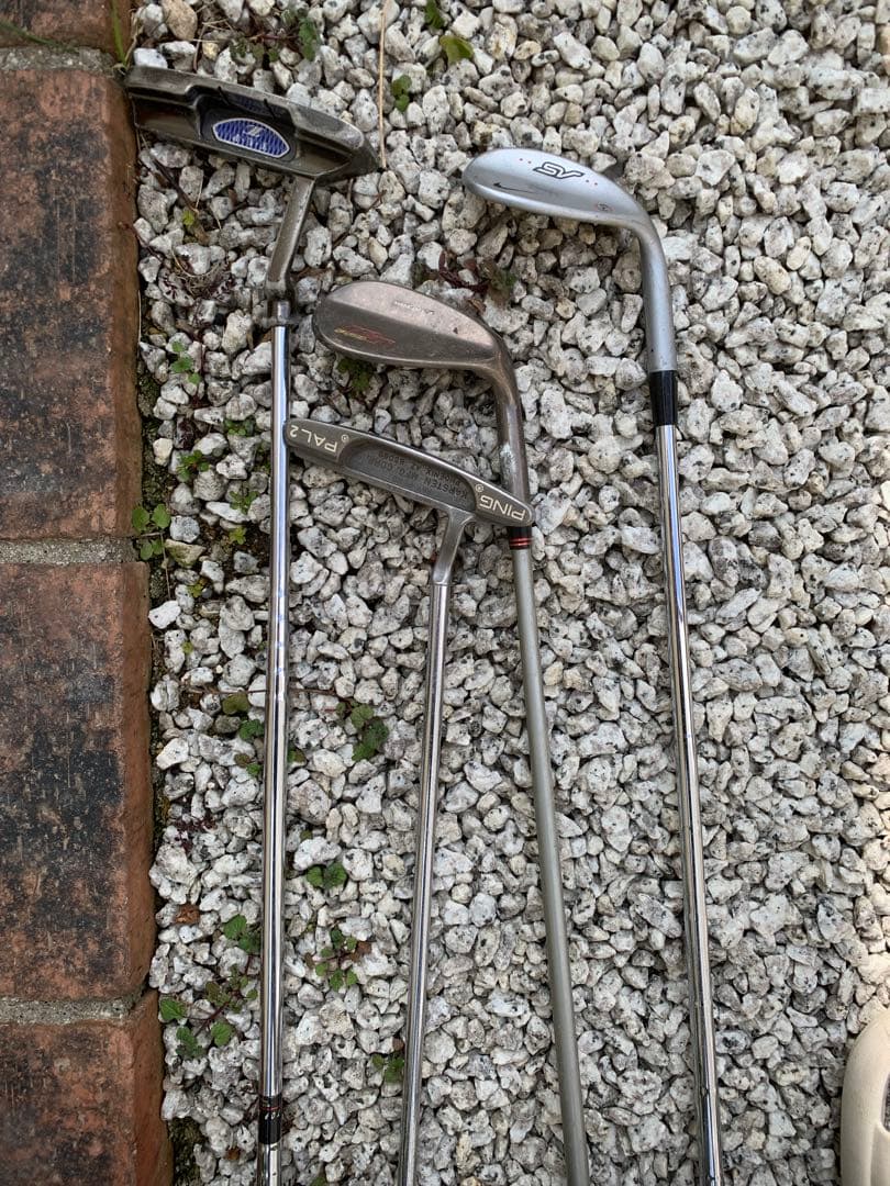 ゴルフ　きなこ