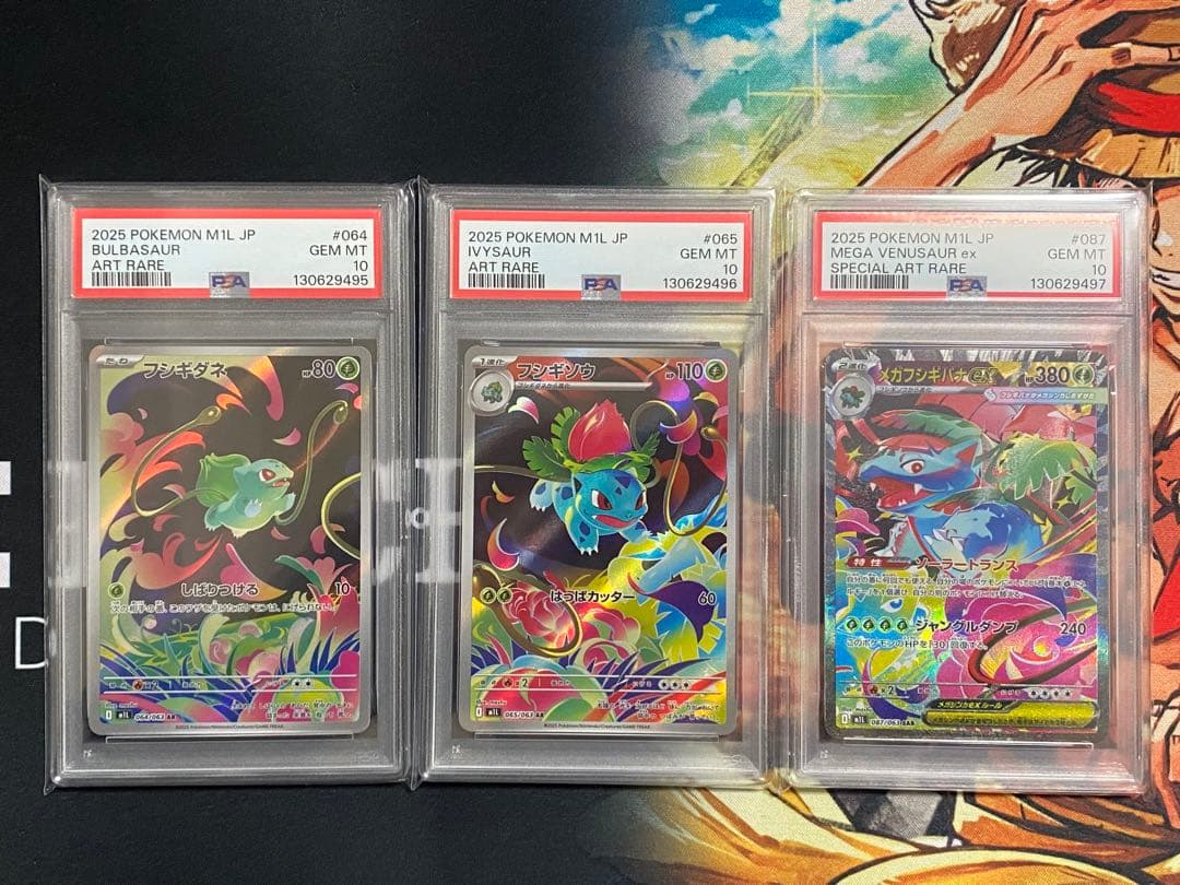 【PSA10連番】ポケモンカード メガフシギバナex 進化ラインセット