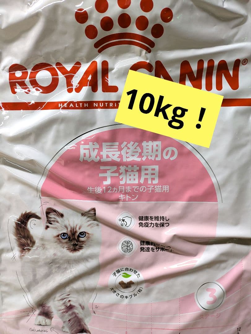  CANIN 子猫用ドライフード 10kg