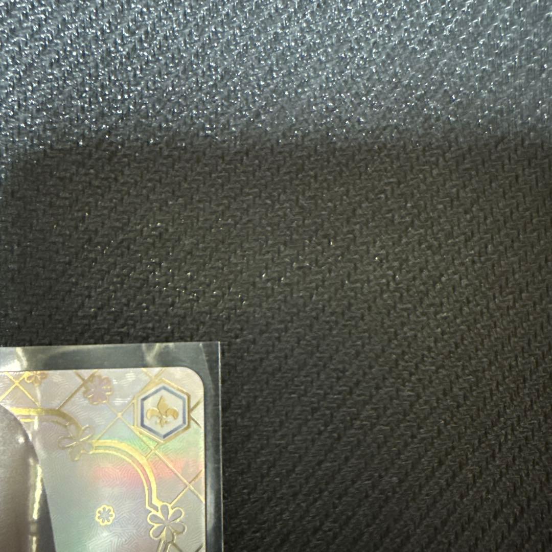 ヴァイスシュヴァルツブラウ 夏目友人帳 若き頭首 的場静司 SSP