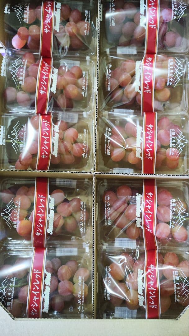 大*行様 サンシャインレッド　シャインマスカットより美味しい？