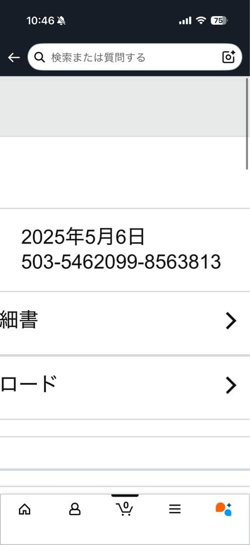 イヤホン Bang & Olufsen beoplay eleven