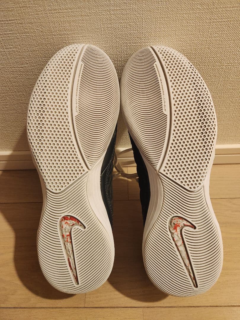【限定出品】Nike ルナガト2