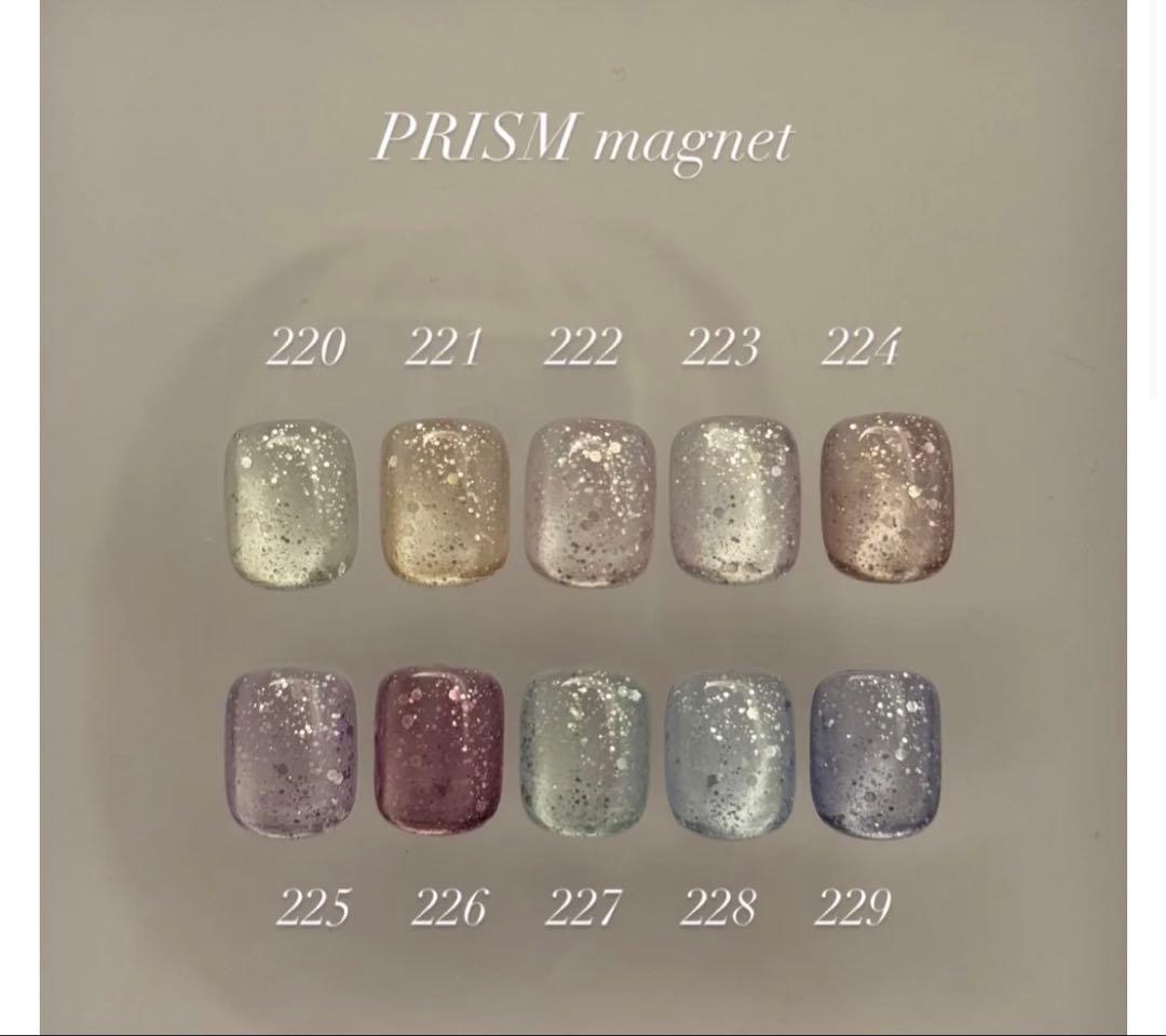 enoi PRISM mg220-229 マグネットネイルカラーセット　台紙つき