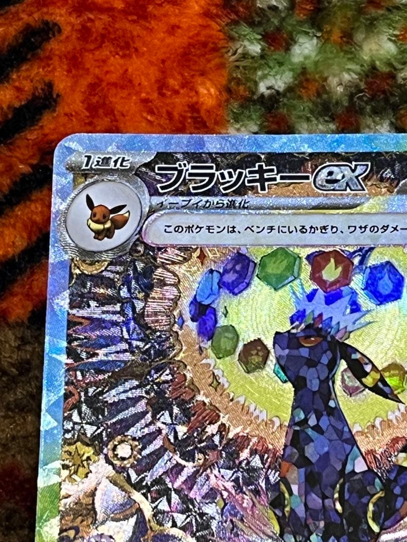 ブイズ ex SAR コンプ　10枚　テラスタルフェス　 おまけ付き