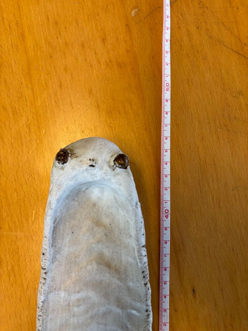 d*3様 ミヤチヤスヨ　マラカスボウヤ　皿