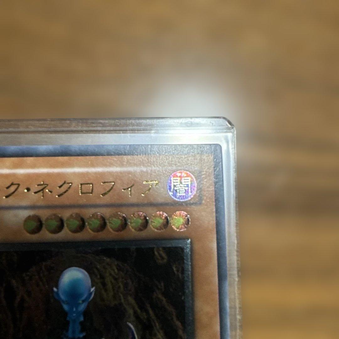 【極美品】 ダークネクロフィア レリーフ LN-14 1枚