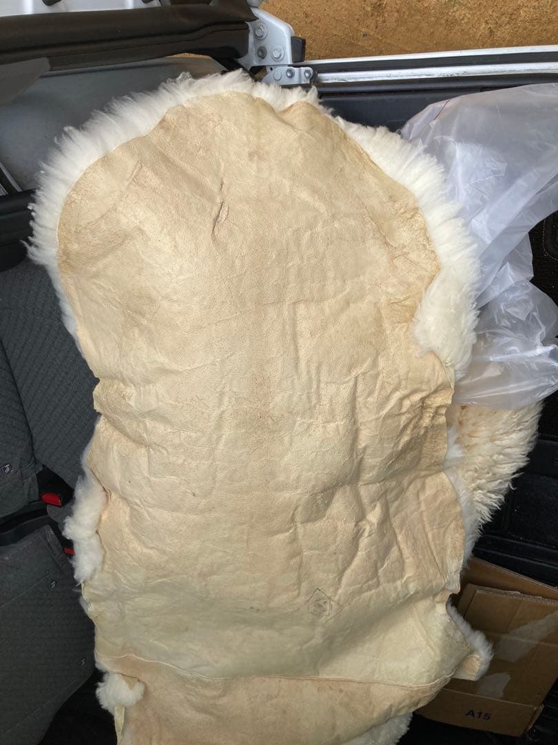 Bowron 羊毛ラグ クリーム色 ニュージーランド産