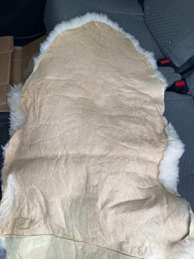 Bowron 羊毛ラグ クリーム色 ニュージーランド産