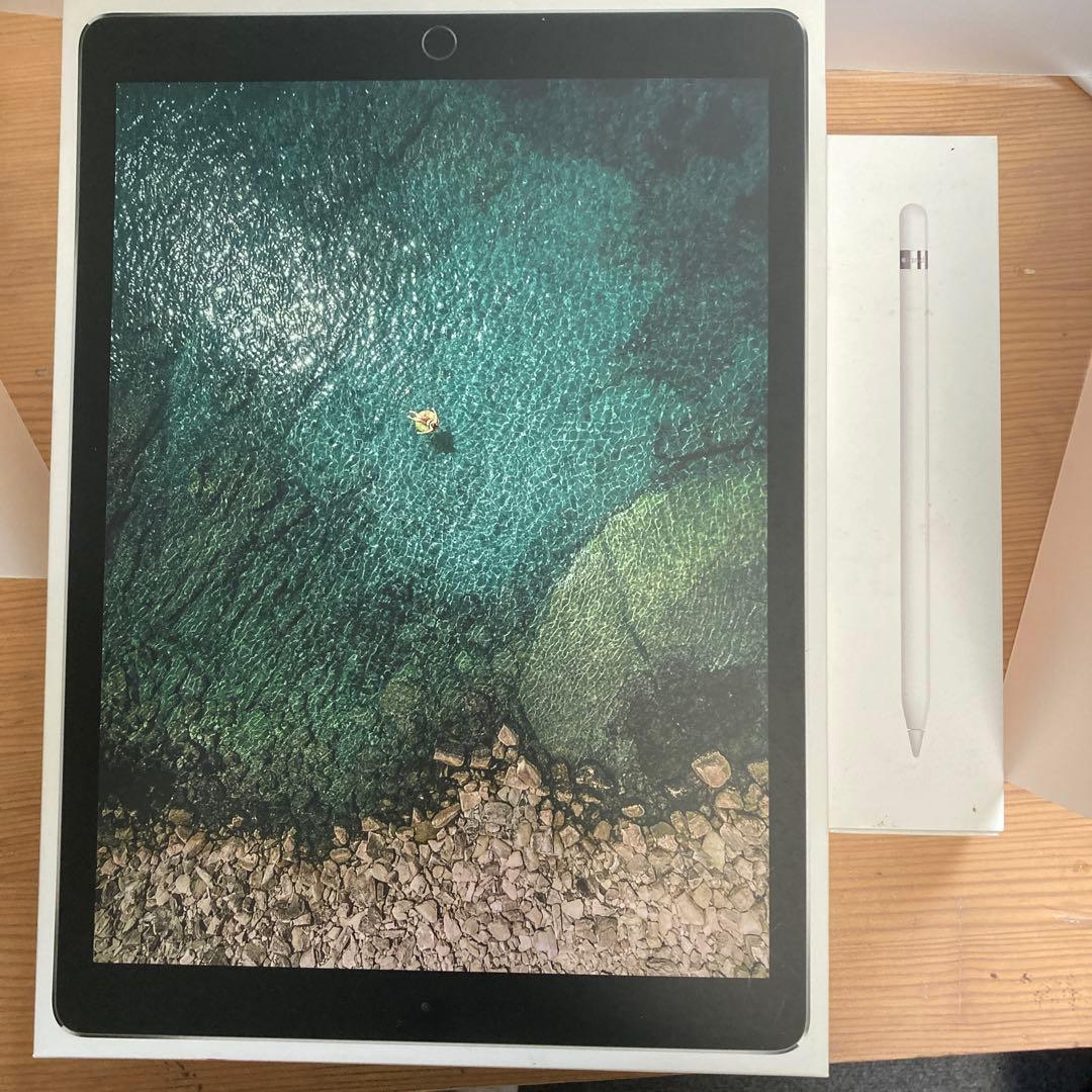 ジャンク　iPad Pro 12.9インチとApple Pencil