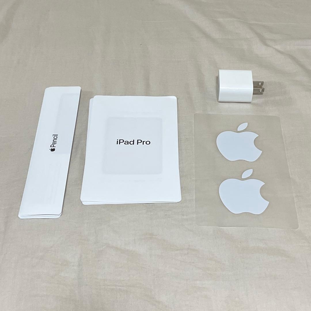 iPad Pro 11インチ 第一世代 256GB アップルペンシル 第二世代