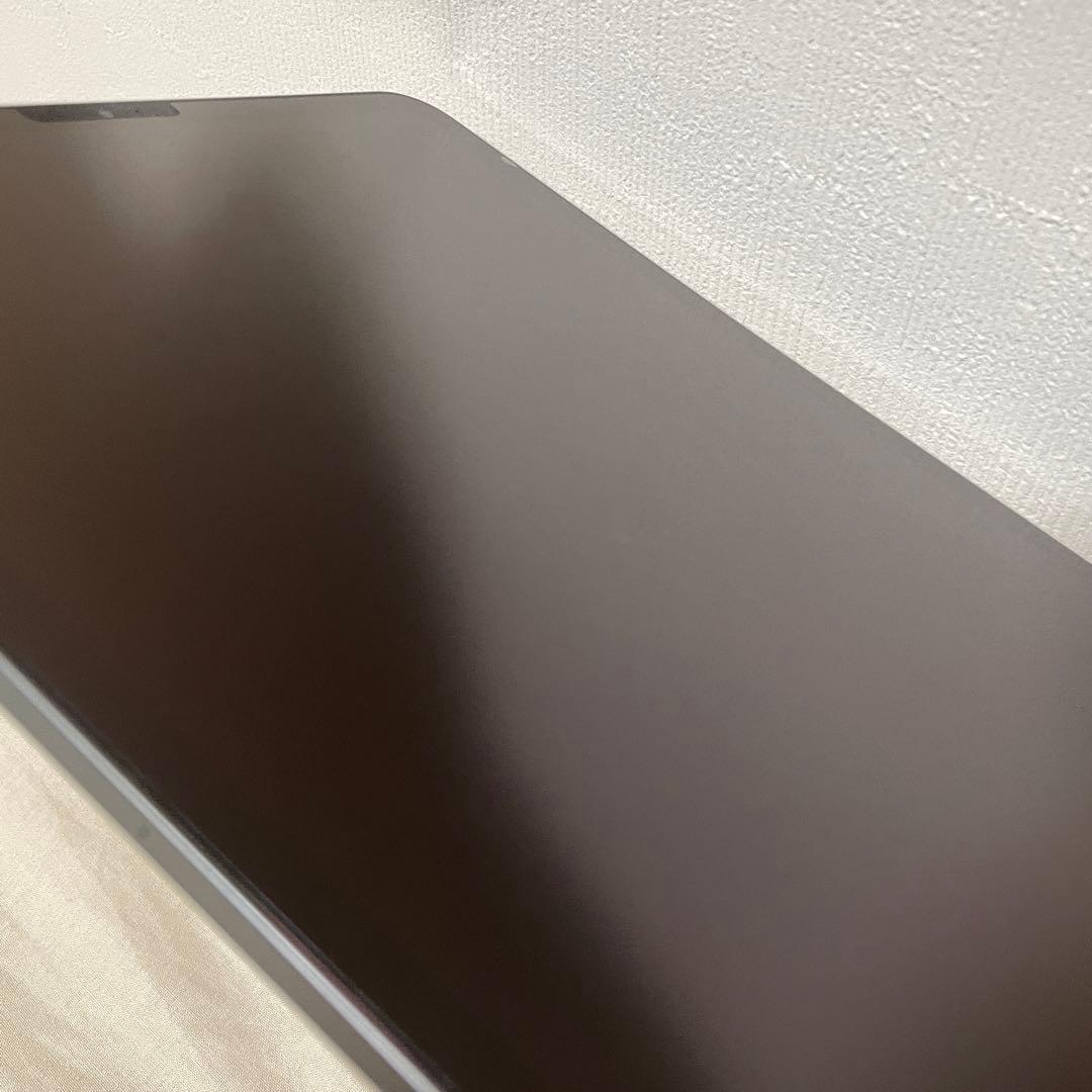 iPad Pro 11インチ 第一世代 256GB アップルペンシル 第二世代