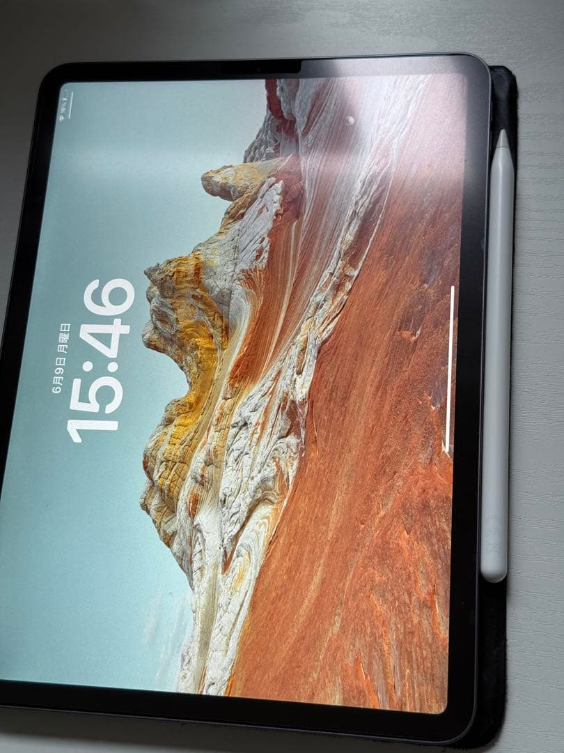 iPad Pro 11インチ(第1世代) 256GB