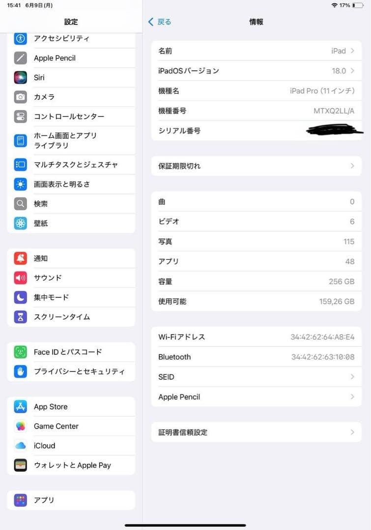 iPad Pro 11インチ(第1世代) 256GB