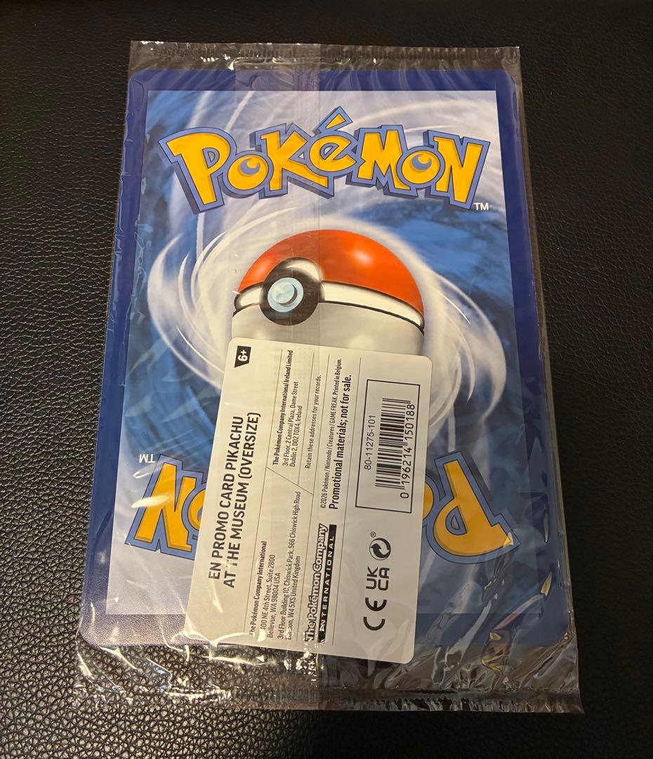 Pikachu at the Museum ピカチュウ ロンドン自然史博物館12