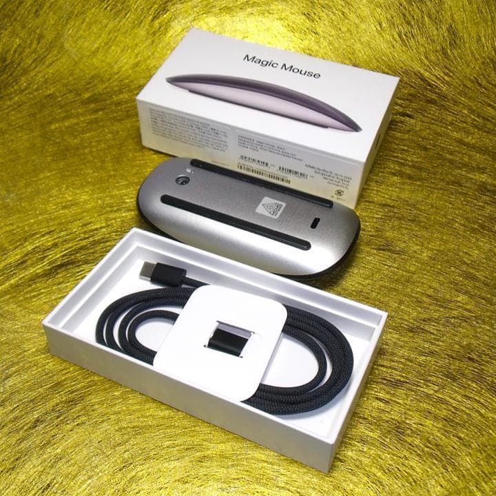 Magic Mouse(USB-C) A3204-black最新マジックマウス黒