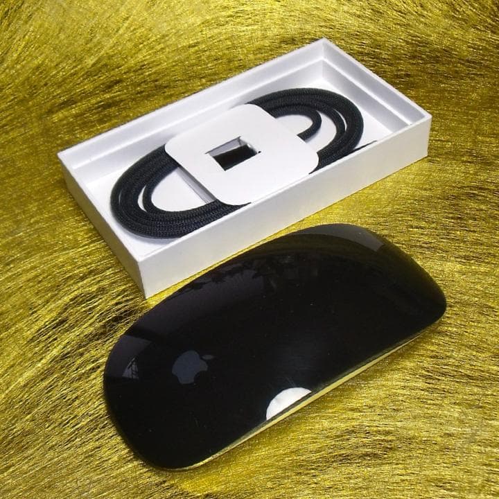 Magic Mouse(USB-C) A3204-black最新マジックマウス黒