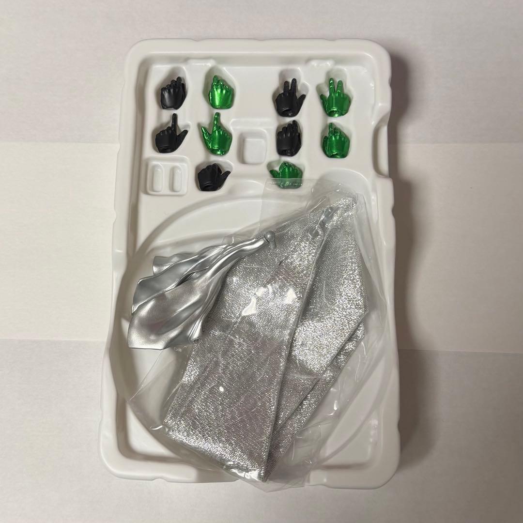 kai さん 専用 真骨彫 仮面ライダーW CJ 仮面ライダーWCJX