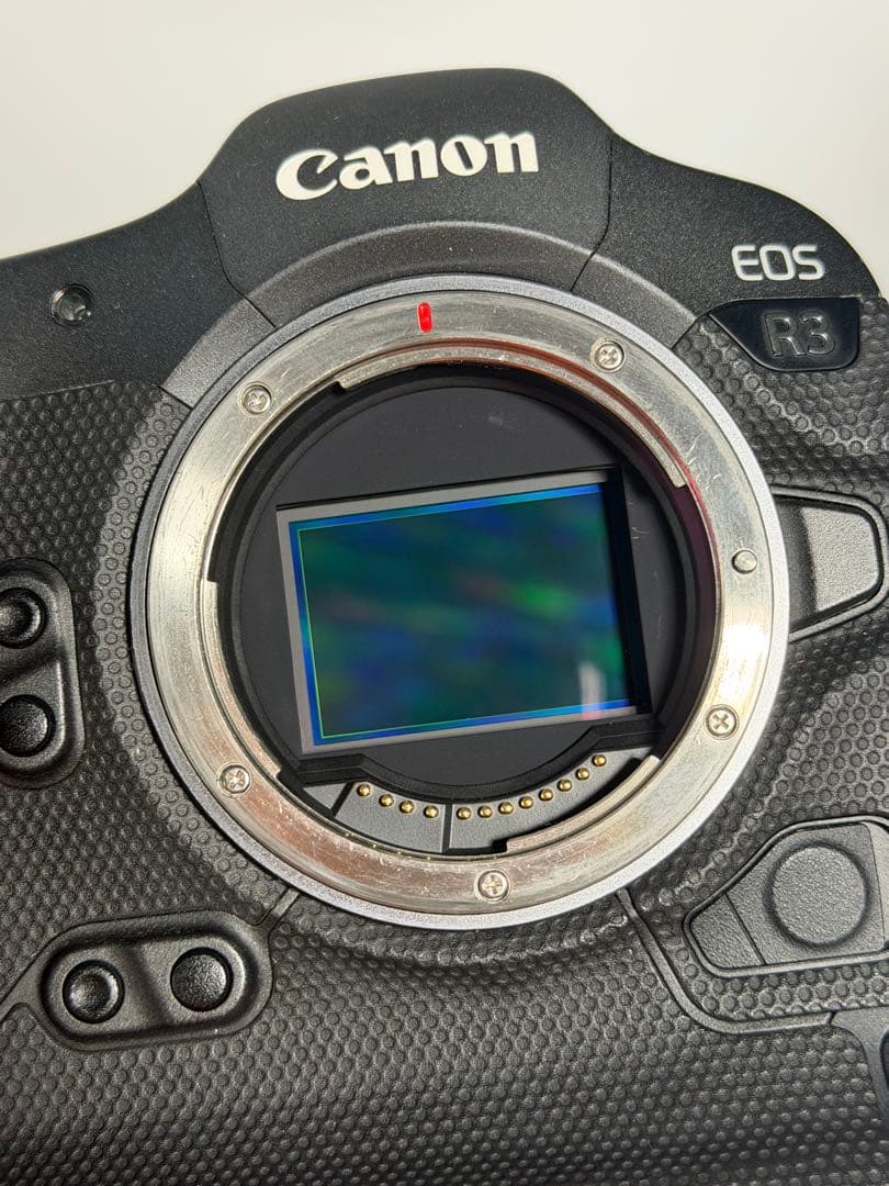 Canon EOS R3 ミラーレスカメラ　バッテリー3個付き
