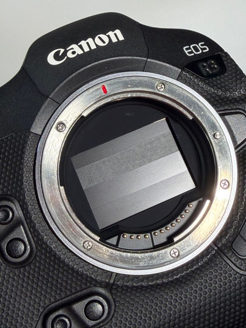 Canon EOS R3 ミラーレスカメラ　バッテリー3個付き