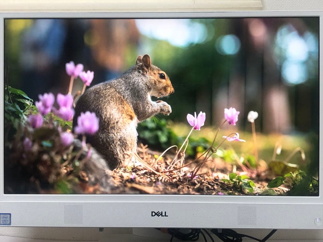 【良品】DELL Insprion 22-3280 SSD Office2021