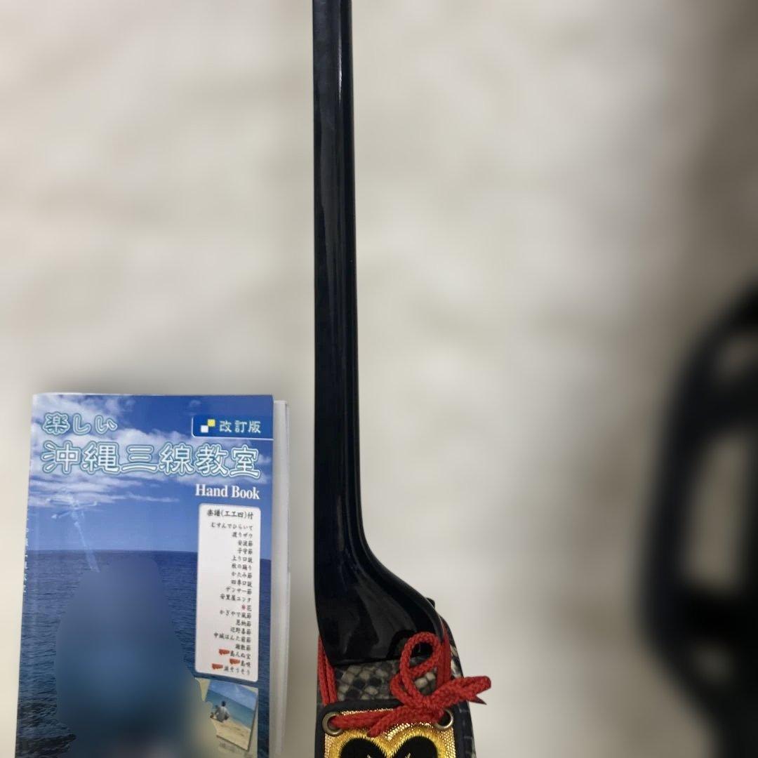【極美品】沖縄三線 ソフトケース付 入門者向け 弦楽器 和楽器 人工革ヘビ
