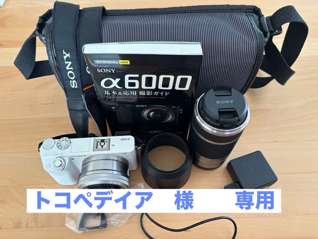 トコぺデイア　 SONY α6000 ダブルズームレンズキット