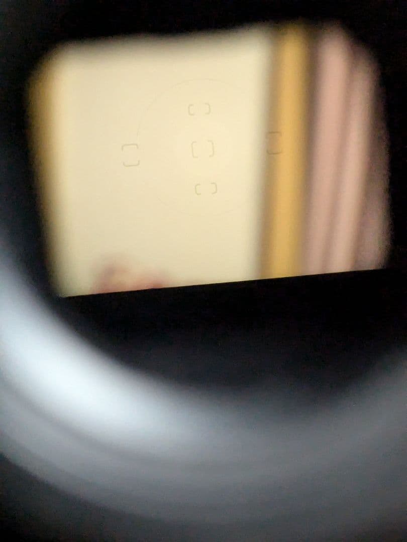 [整備済み］NikonニコンF5 　フィルムカメラ AE AF