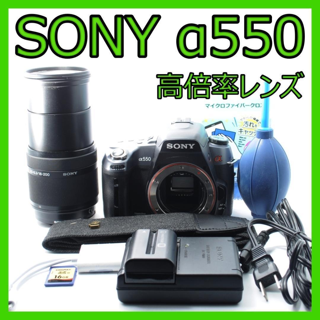 家族旅行を綺麗に残す！❤️SONY α550✨高倍率レンズセット✨️すぐ使える