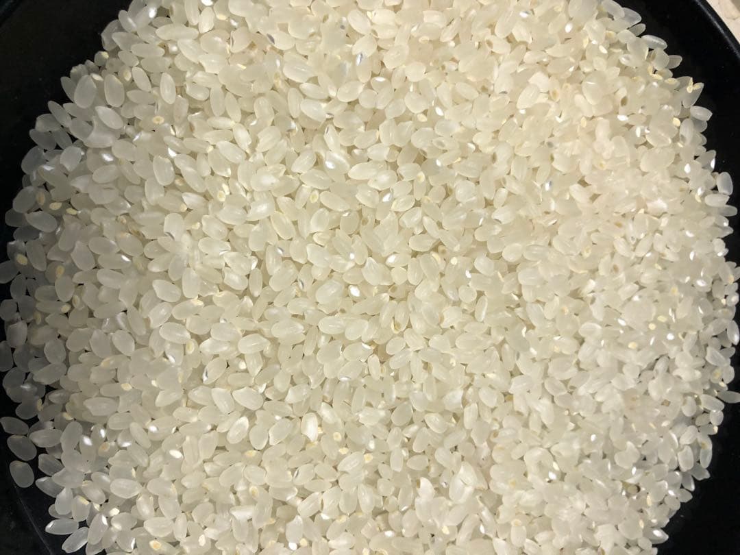 栃木県産農家直売新米ゆうだい21白米9kg