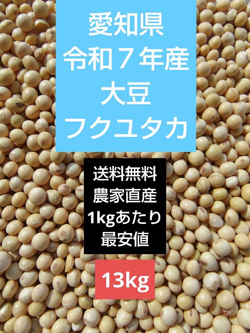 令和7年産　大豆 フクユタカ 正味13kg　愛知県産