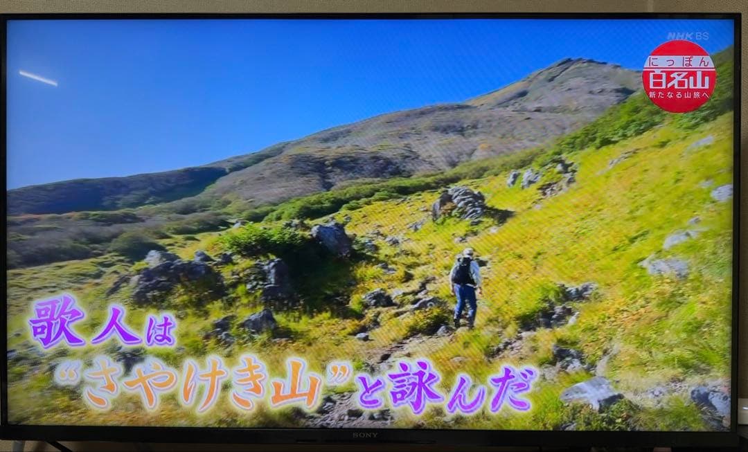 東芝REGZA ブルーレイプレーヤー DBP-S500