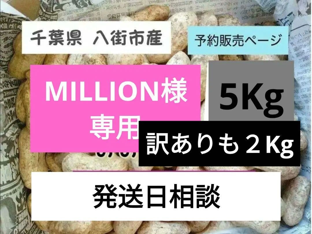 千葉県　八街産　掘りたて　おおまさり　生落花生　5Kg
