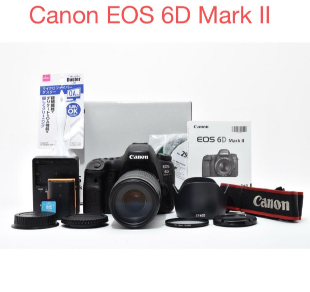 Canon EOS 6D Mark IIレンズセットCanon EF75-300