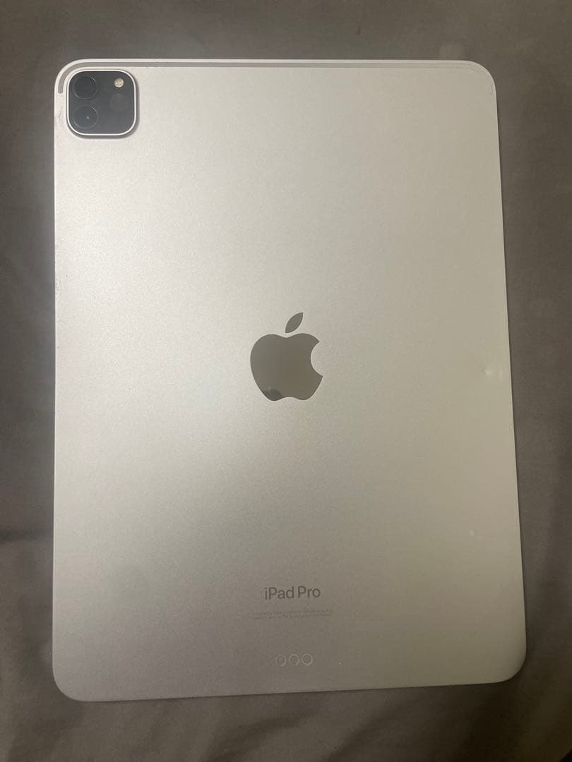 Crown！iPad Pro 11インチ 第4世代 本体 256GB