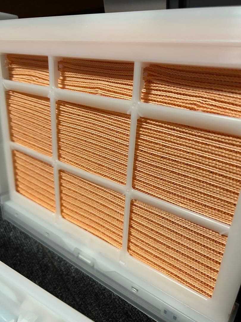 【極美品】日立　ZP-GA1000T ジアクリン　空気清浄機 21年製