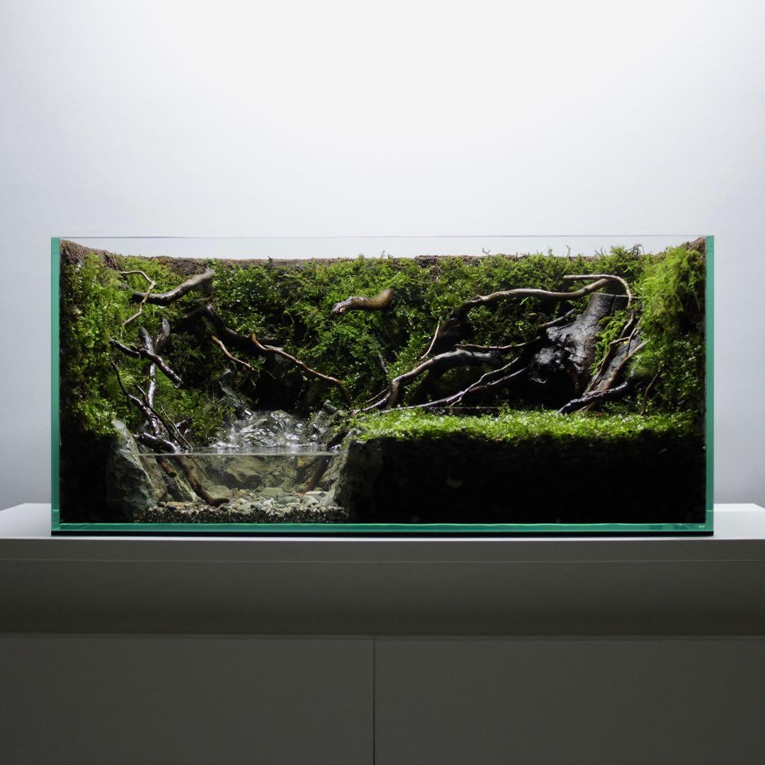 凛1.11　アクアテラリウム