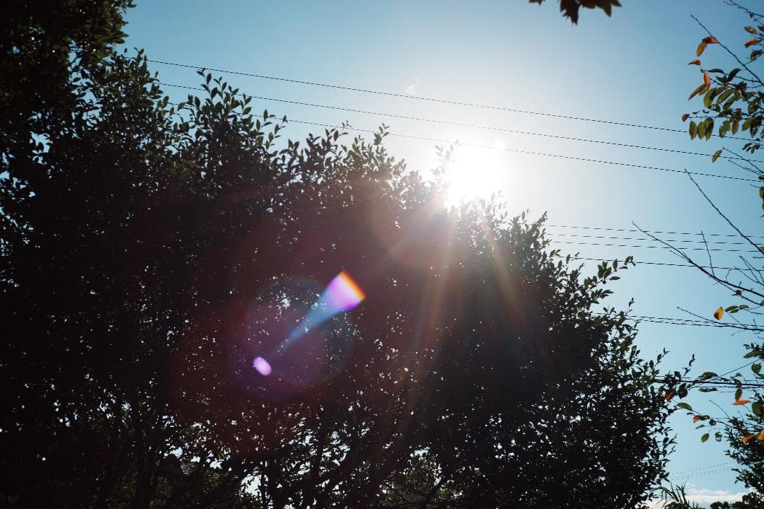 【ライカ】Minolta M-ROKKOR 40mm F2 069