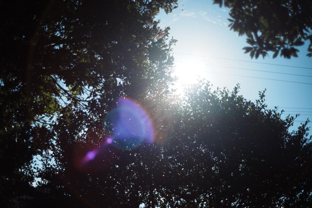 【ライカ】Minolta M-ROKKOR 40mm F2 069