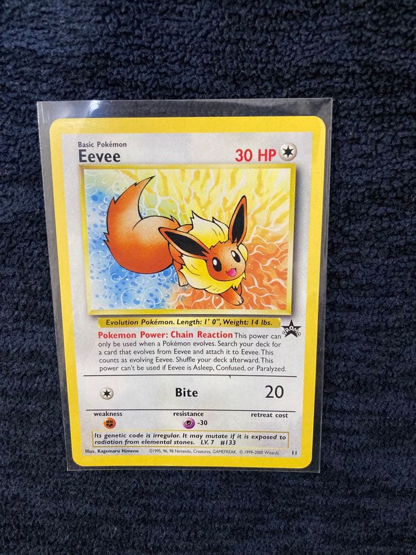 ポケモンカード 英語版　イーブイ　Eevee プロモ