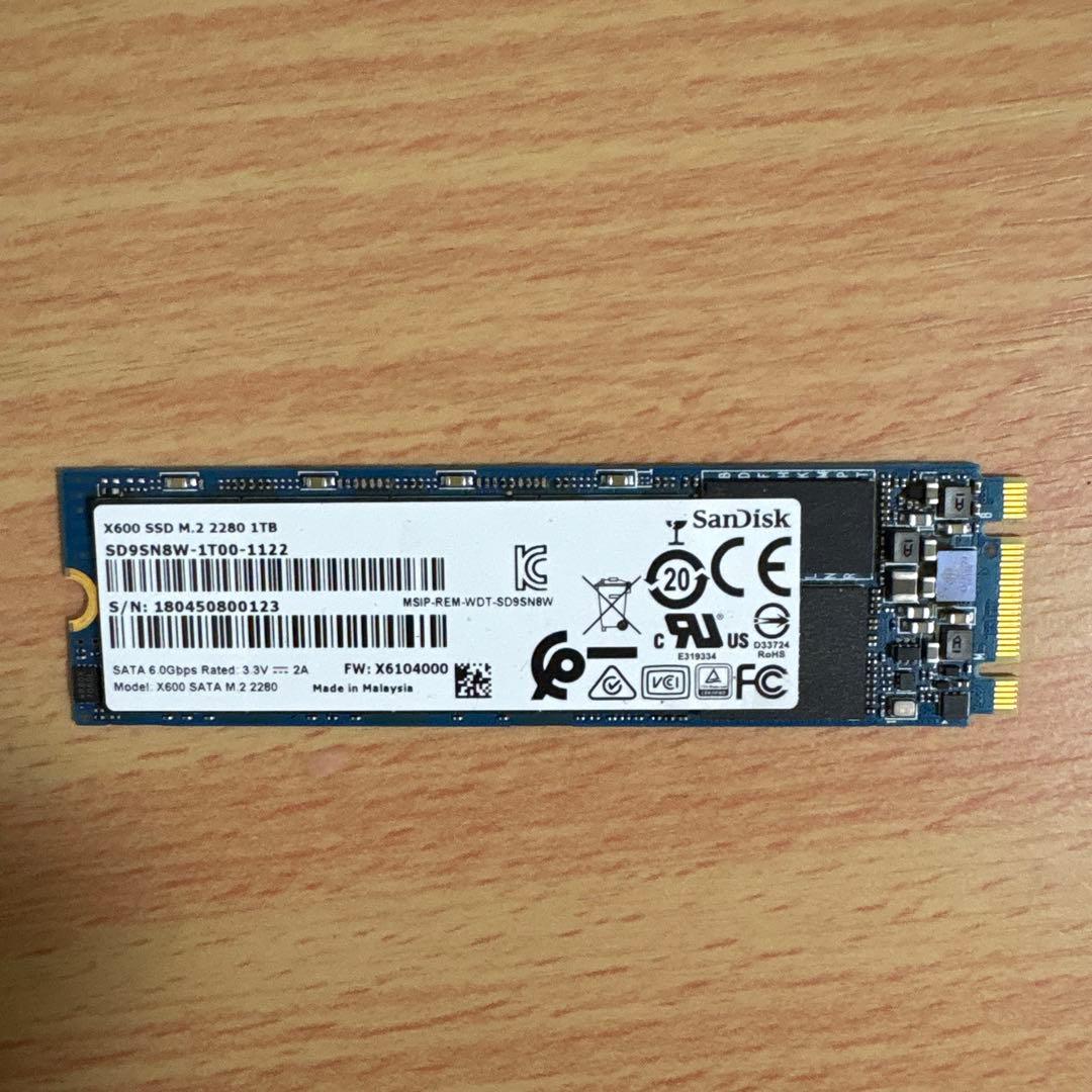 内蔵型SSD SSD M2 SanDisk 1TB